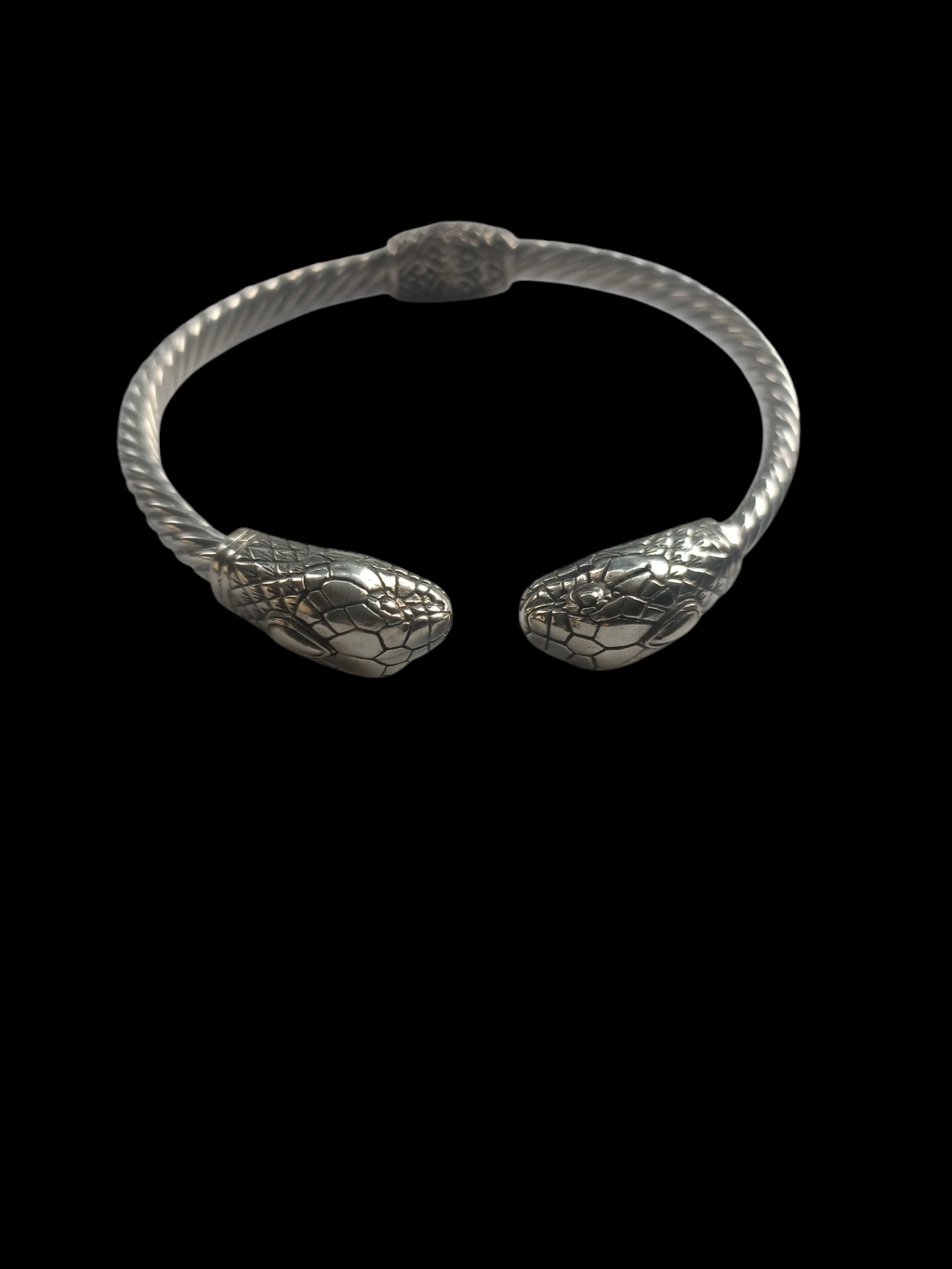 Silver and snake bracelet